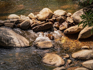 Water Streams Between Rock Jam