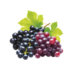 Fototapeta premium Lush Clusters of Red and Black Grapes with Fresh Green Leaves