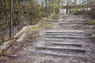 Overgrown Steps in Pripyat