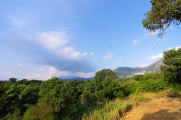 Fototapety na wymiar - Fototapeta24.pl