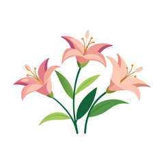 Elegant blooming lilies with buds isolated flat vector illustration on white background