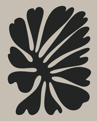 Obraz premium contemporary silhouette black nature flower leaf