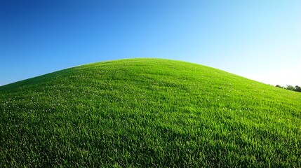 Vibrant green grassy hills stretching out under a bright clear blue sky with no clouds in sight creating a serene and picturesque countryside landscape