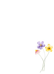 Floral background, greeting card with place for text, with flowers and leaves, hand drawing. Birthday, wedding, bridal invitation.