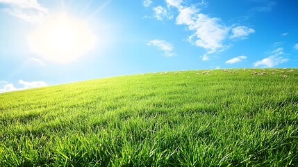 Fototapeta premium Lush verdant rolling grassy slope adorned with a vibrant array of colorful flowers stretching out toward a radiant azure blue sky dotted with fluffy white clouds on a bright sunny day