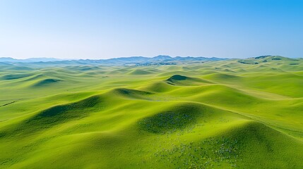 Obraz premium Breathtaking panoramic view of a lush vibrant green meadow filled with blooming wildflowers set against a clear azure sky with wispy clouds Serene