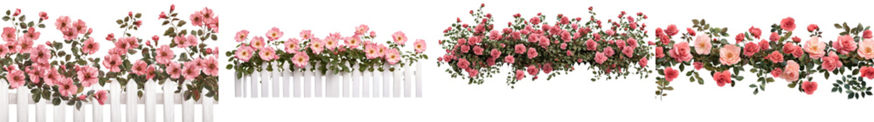 Obraz premium Vibrant Red and Pink Rose Bouquet Blooming in Floral Arrangement