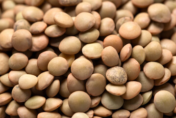 Lenticchie crude, alimentazione biologica vegetariana 