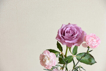 薔薇とカーネーション