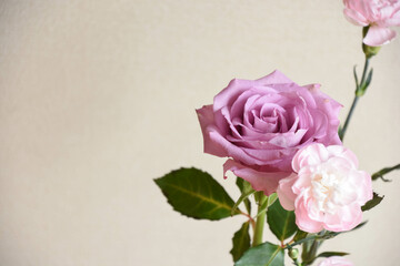 薔薇とカーネーション