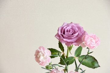 薔薇とカーネーション