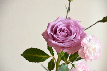 薔薇とカーネーション