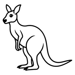 kangaroo with baby vector