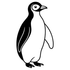penguin on white background