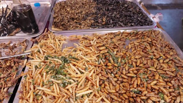 A vibrant display of fried insects, including grasshoppers, worms, scorpions, and centipedes, displayed in trays at a night market in Bangkok's Chinatown, Thailand