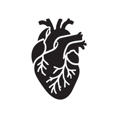anatomical heart vector clip art flat design.
