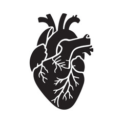 anatomical heart vector clip art flat design.