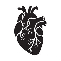 anatomical heart vector clip art flat design.