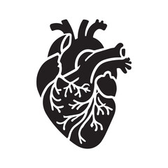 anatomical heart vector clip art flat design.
