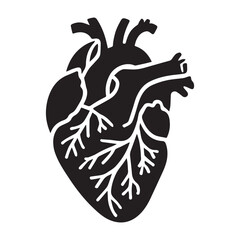 anatomical heart vector clip art flat design.