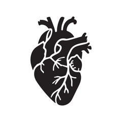 anatomical heart vector clip art flat design.