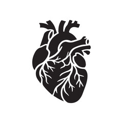 anatomical heart vector clip art flat design.