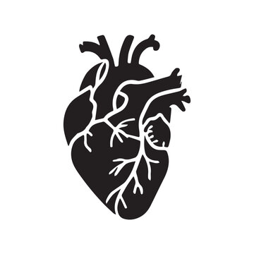black heart anatomy graphic clip art preview