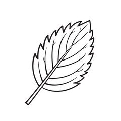 Doodle Vector Illustration of a Mint Leaf in Cartoon Style. Isolated on white background. Fun drawing cartoon style icon. Perfect for beauty, anatomy, or vision-related projects your designs.