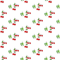 ZEBRA vector illustration on white background for tatoo, typography, t hirt, wall art, poster. Vector sketch.