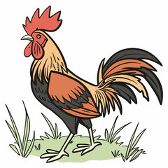 Fototapeta premium rooster in the grass vector illustration