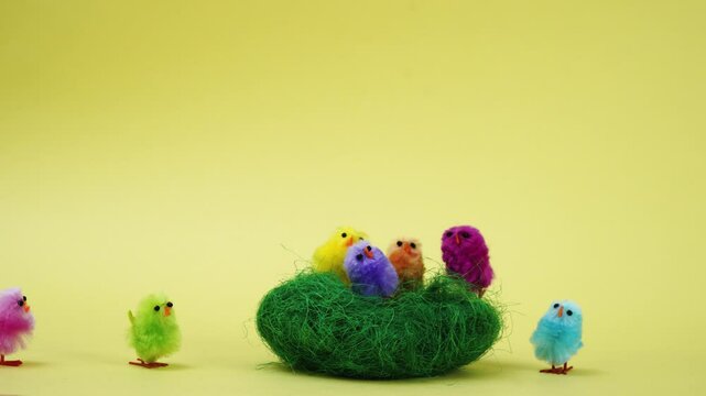 easter stop motion animation chicken in nest 