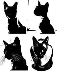 siamese cats sillhouette of siamese cats