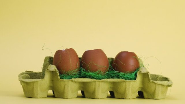 easter stop motion loading chicken in eggs animation time lapse