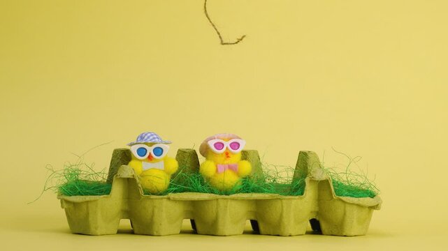 funny easter stop motion animation chicken in nest eggs time lapse