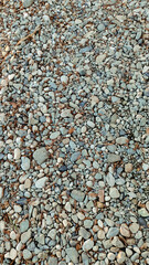 Small stones with autumn brown fallen leaves on the ground in late autumn.