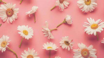 A charming spring background adorned with an array of spring flowers and delicate daisies. The vibrant colors and sweet scents of these blossoms create a refreshing and inviting atmosphere