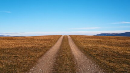 A dirt road splits, vanishing over a golden hill under a clear blue sky.