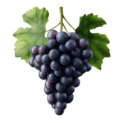 Fototapeta premium grape realistic 3D isolated on transparent background