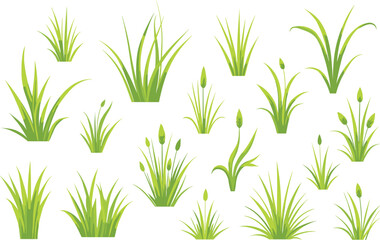 Obraz premium Grass Vector Clipart Bundle for Designs
