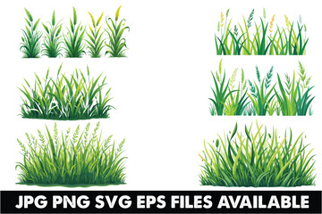 Obraz premium Grass Vector Clipart Bundle for Designs