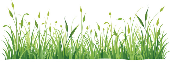 Grass Vector Clipart Bundle for Designs