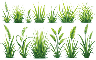 Grass Vector Clipart Bundle for Designs