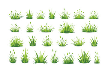Grass Vector Clipart Bundle for Designs