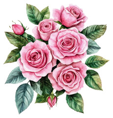 Fototapeta premium PNG Pink roses flower watercolor bouquet flowers illustration art.