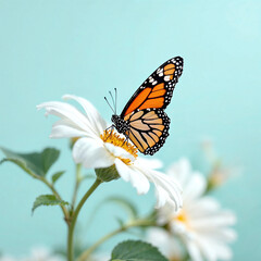 Fototapeta premium A butterfly is perched on a white flower. Concept of tranquility and beauty, as the delicate butterfly rests on the vibrant flower. The combination of the butterfly's bright colors