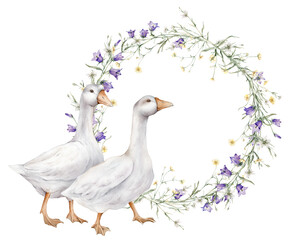 Wreath of yellow buttercup and little flower and violet bluebell. Domestic watercolor gooses. Watercolor hand painting illustration on isolate. Circlet of meadow flowers. Botanical summer wildflowers.