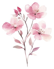 Naklejka premium PNG Aesthetic spring flower flowers art illustration.