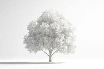 3D Cottonwood Tree Isolated and White Background