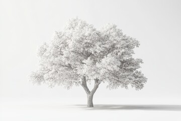 Obraz premium 3D Cottonwood Tree Isolated and White Background