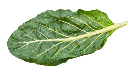 Obraz premium Green chard isolated on transparent background